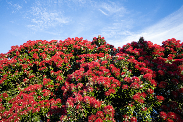 Data Access Conditions